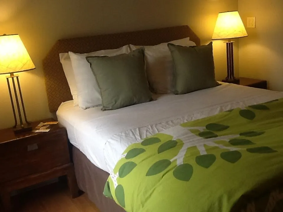 Zenyard Guest House Phoenix
